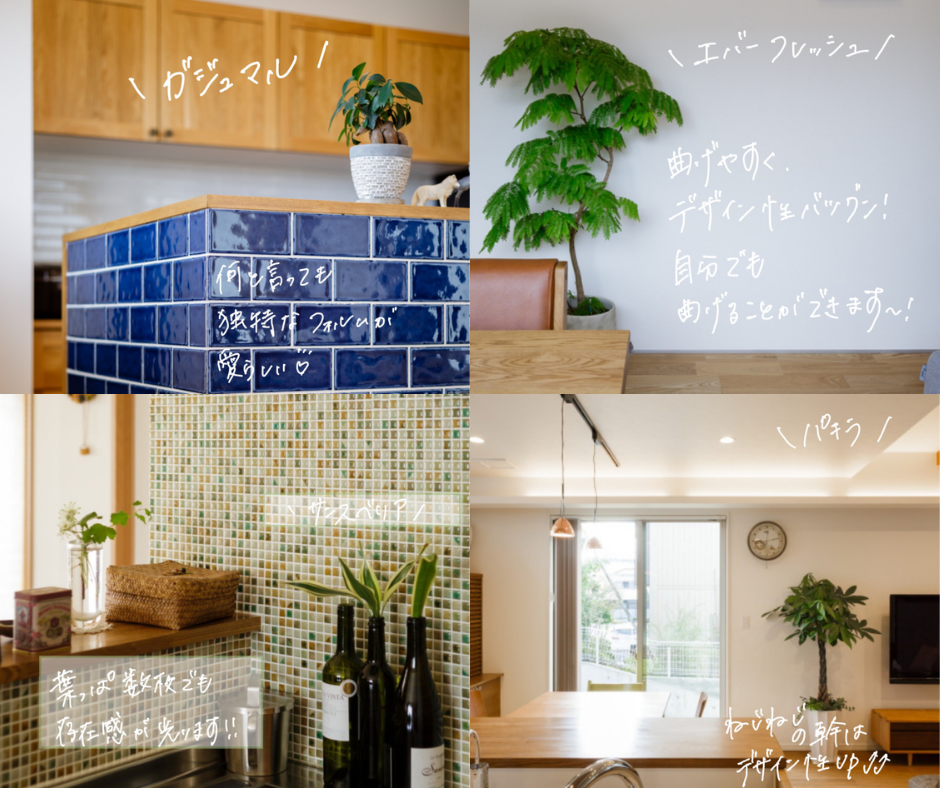 岡山の注文住宅|観葉植物 イチマルホーム