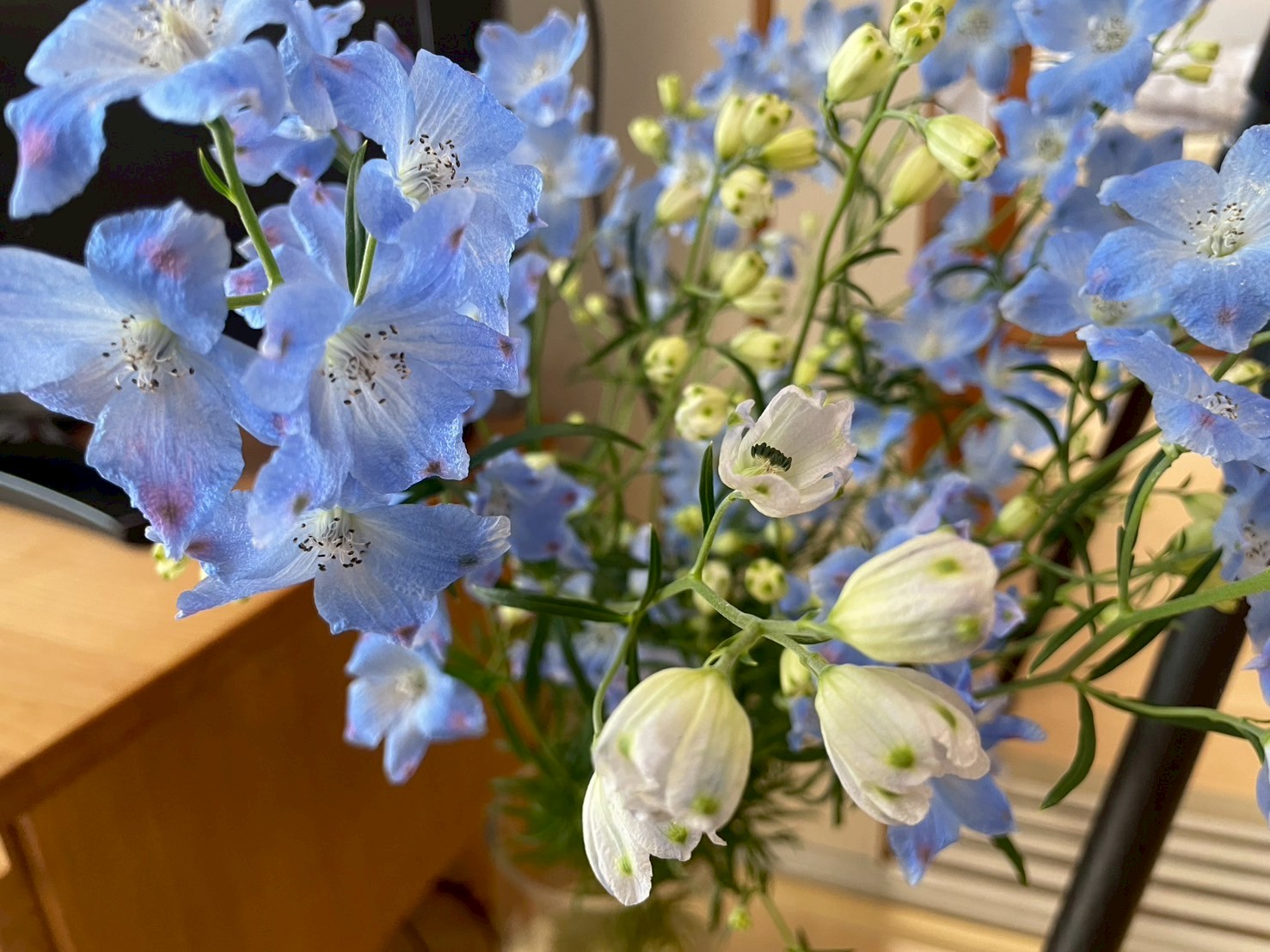 リフォーム施工事例 グリーン|イチマルホーム