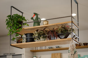 岡山の注文住宅｜観葉植物　イチマルホーム